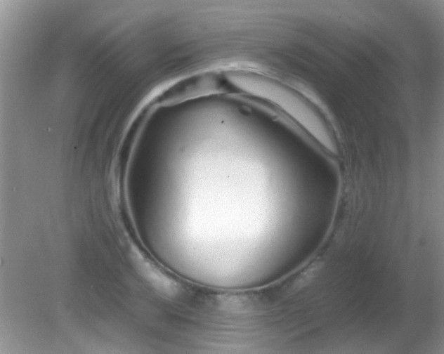 X0000082201032200701270113