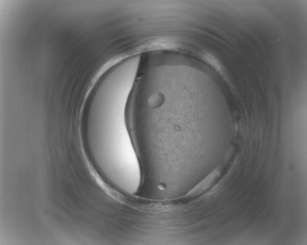 X0000082201034200701270113