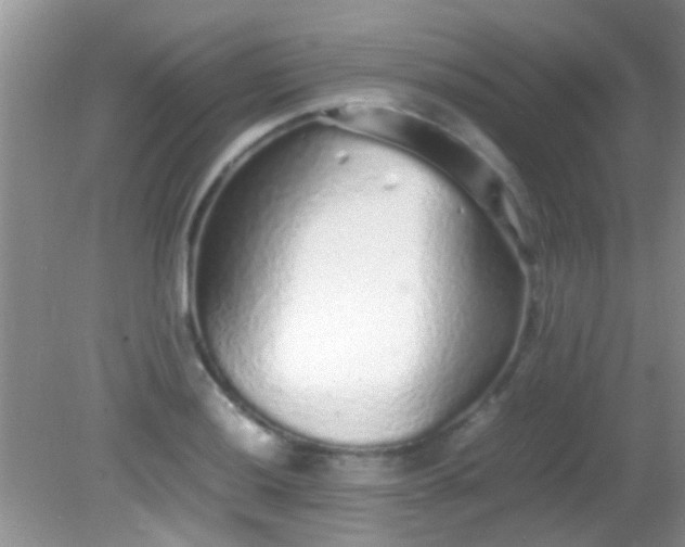 X0000082201036200701270113