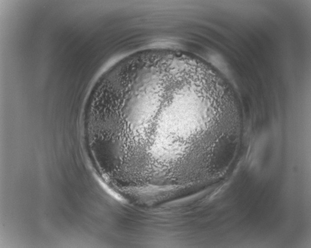 X0000082201037200701270113