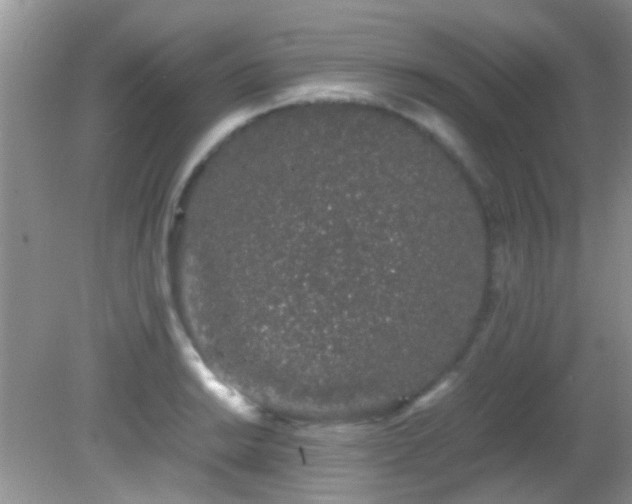 X0000082201038200701270113