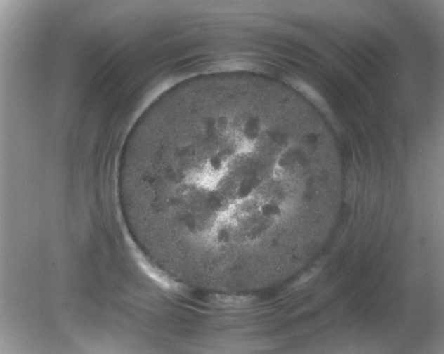 X0000082201039200701270113