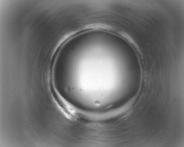 X0000082201040200701270113