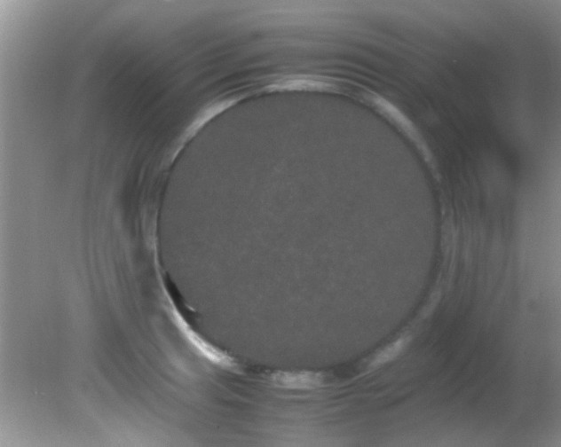 X0000082201041200701270113