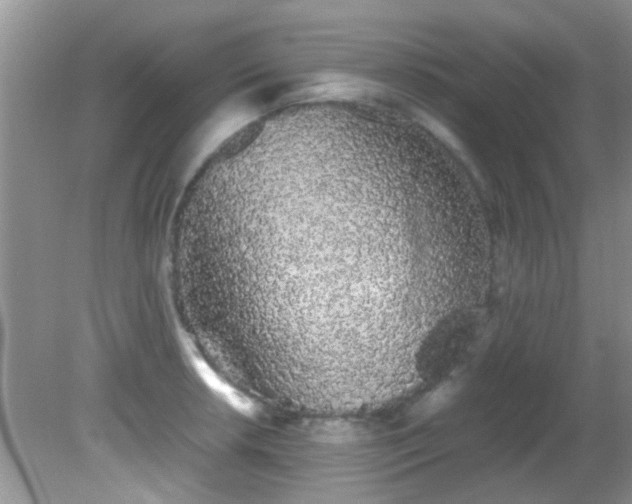 X0000082201042200701270113