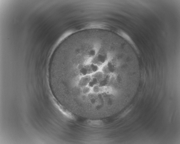 X0000082201043200701270113