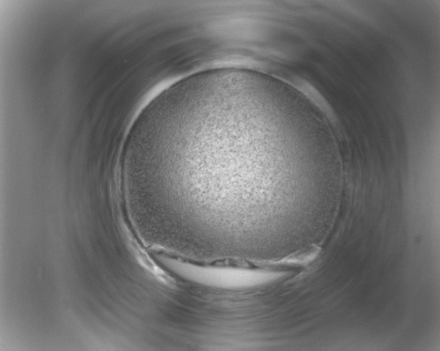 X0000082201044200701270113