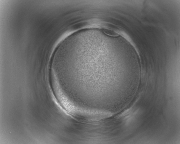 X0000082201045200701270113