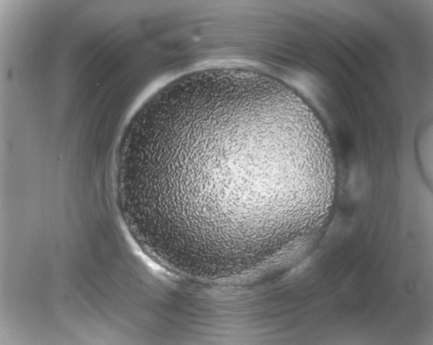 X0000082201046200701270113