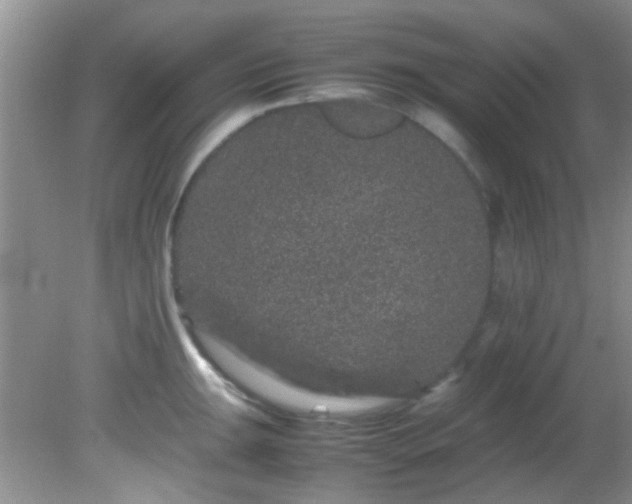 X0000082201047200701270113