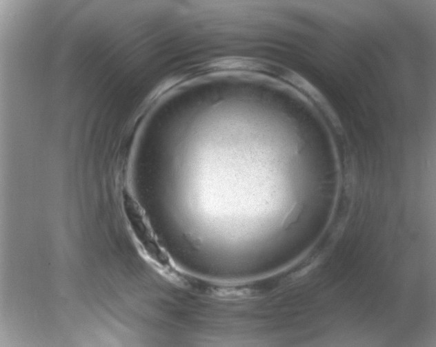 X0000082201049200701270113