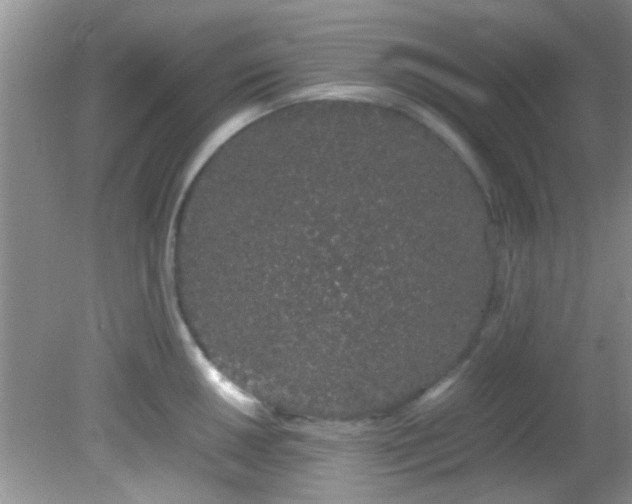 X0000082201050200701270113