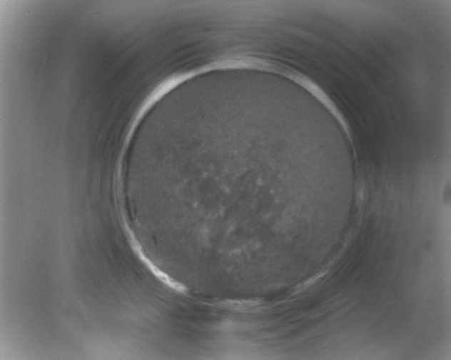 X0000082201053200701270113