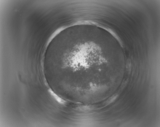 X0000082201054200701270113