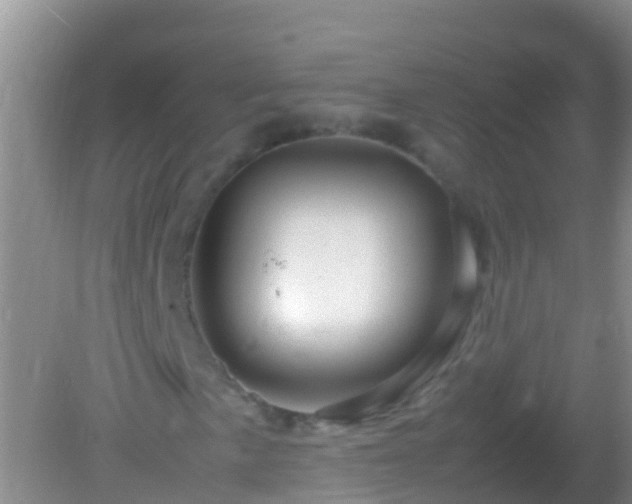 X0000082201057200701270112