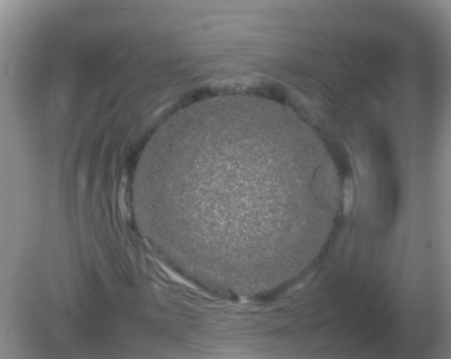 X0000082201059200701270112