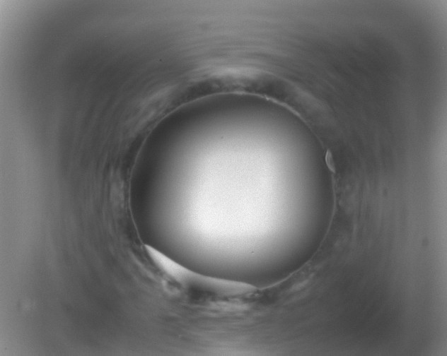 X0000082201061200701270112