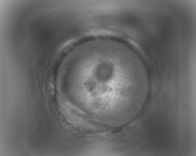 X0000082201063200701270112