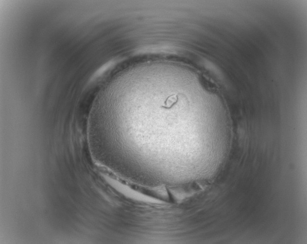 X0000082201064200701270112