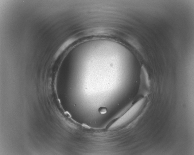 X0000082201066200701270112