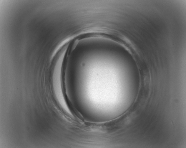 X0000082201069200701270112