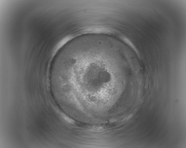 X0000082201071200701270112