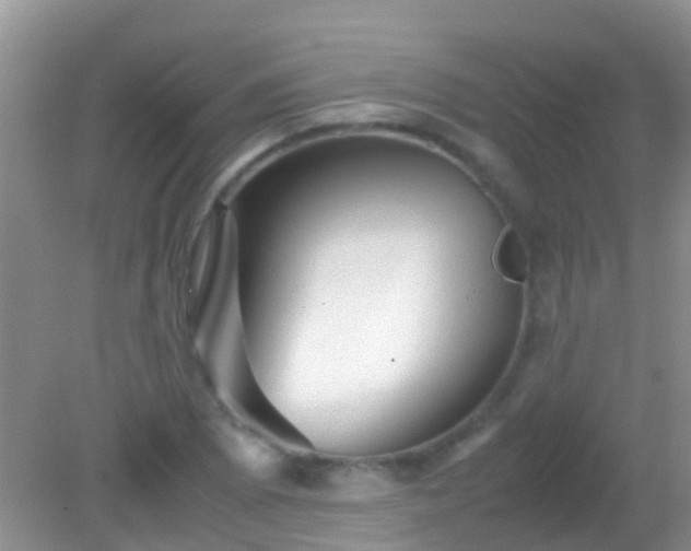 X0000082201073200701270112