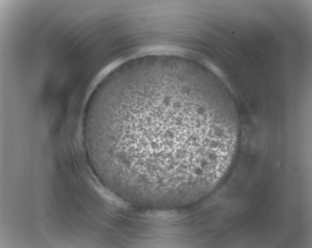 X0000082201074200701270112