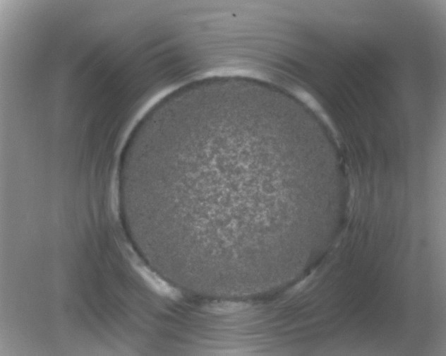 X0000082201076200701270112