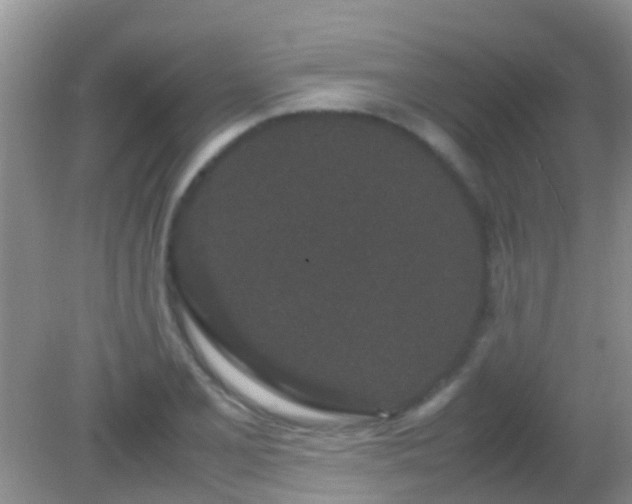 X0000082201077200701270112