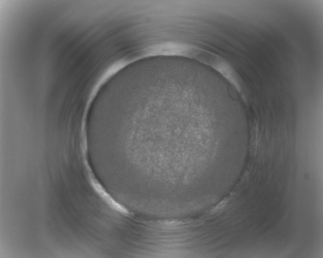 X0000082201080200701270112