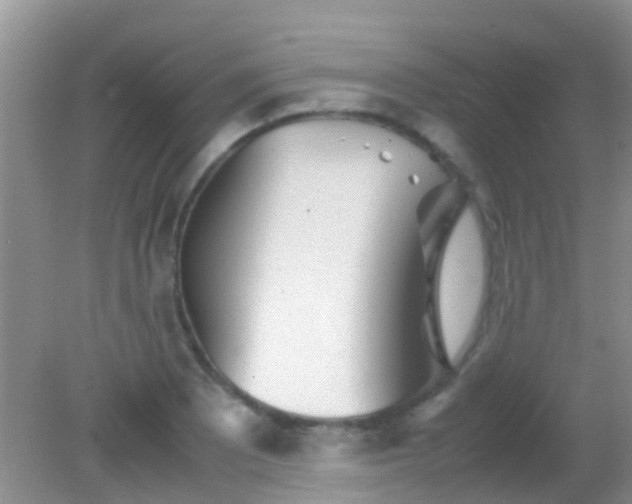 X0000082201081200701270112