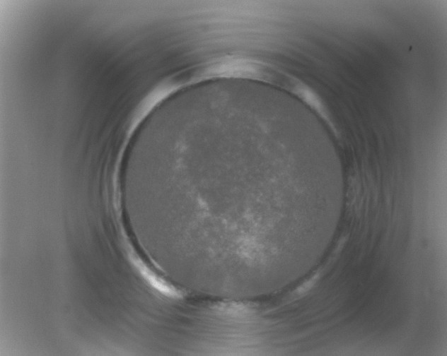 X0000082201082200701270112