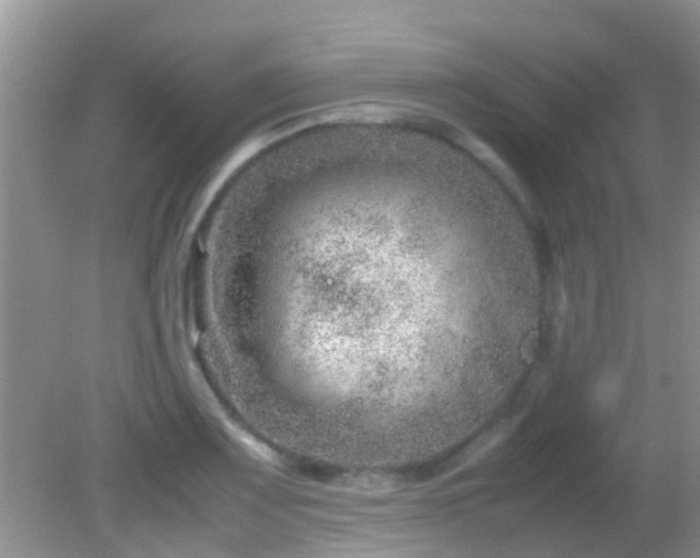 X0000082201083200701270112