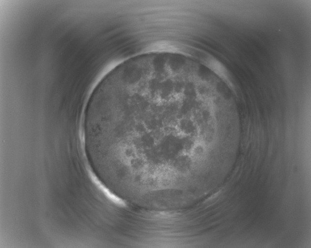 X0000082201084200701270112