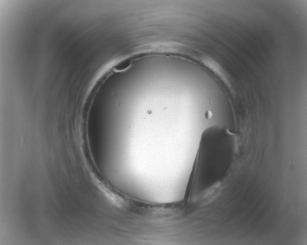 X0000082201085200701270112