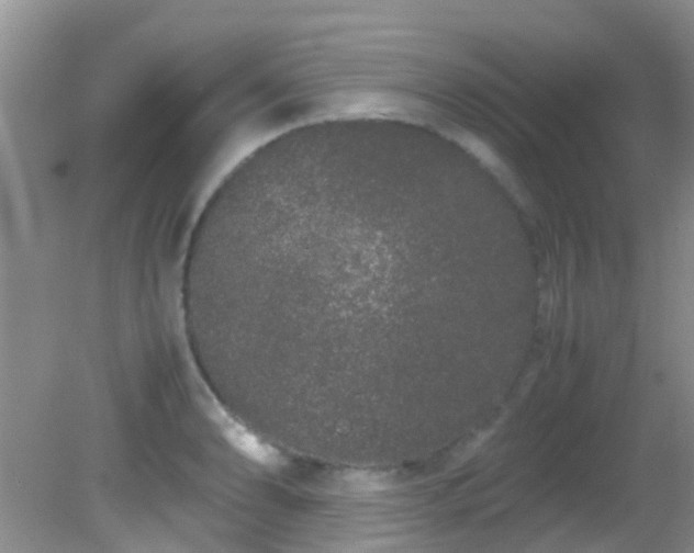 X0000082201086200701270112