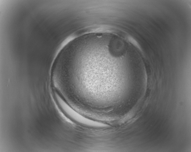 X0000082201087200701270112