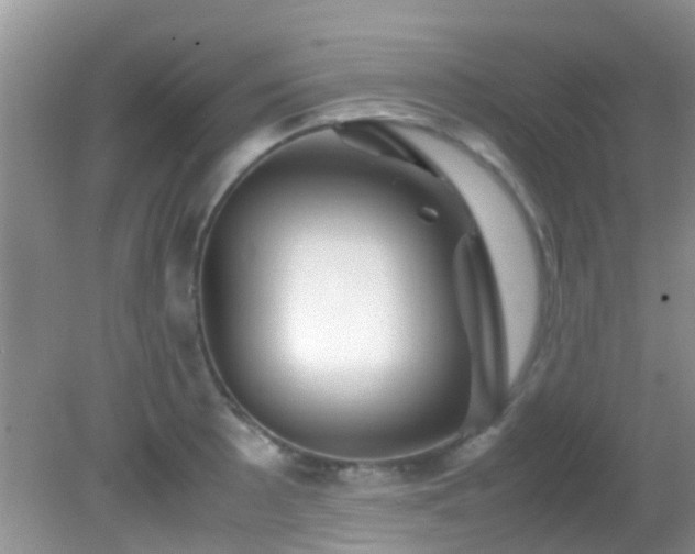 X0000082201089200701270112