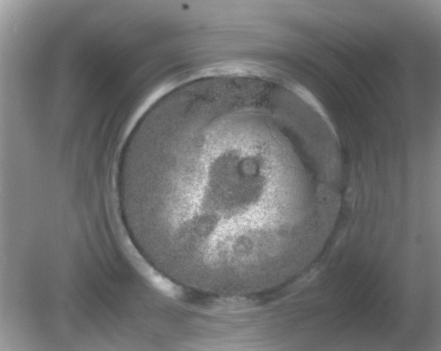 X0000082201091200701270112