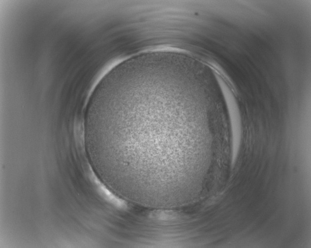 X0000082201092200701270112