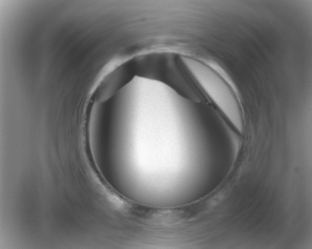 X0000082201093200701270112