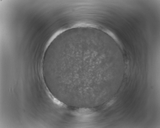 X0000082201094200701270112