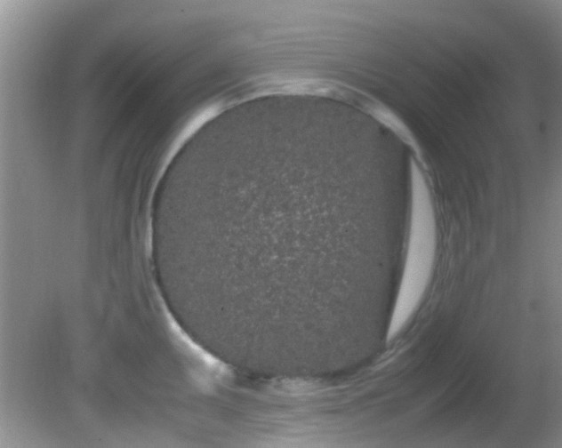 X0000082201095200701270112