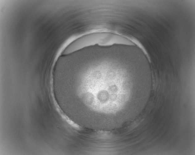 X0000082201096200701270112