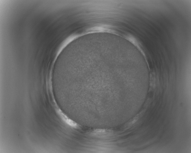 X0000082201098200701270112