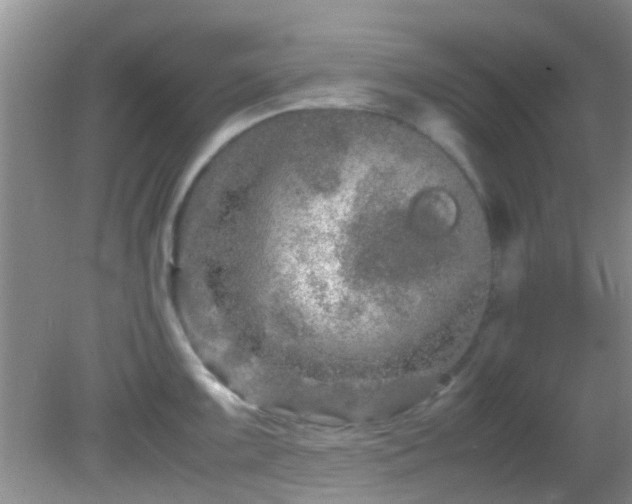 X0000082201099200701270112