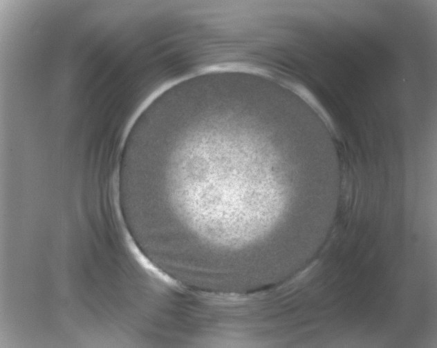 X0000082201100200701270112