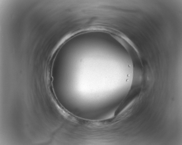 X0000082201101200701270112