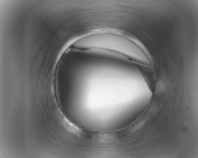 X0000082201102200701270112